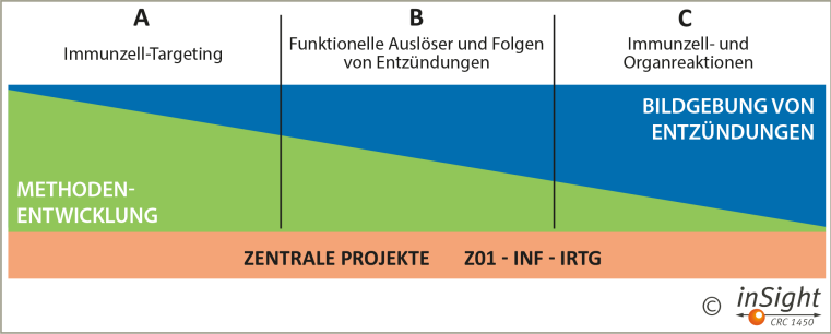Projektbereiche des SFB „inSight“