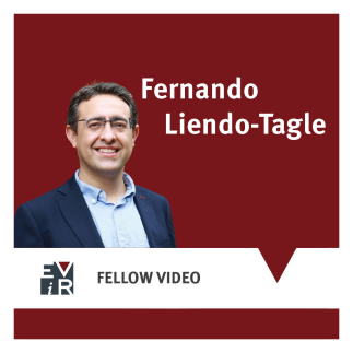Grafik mit dunkelrotem Hintergrund und dem Porträt von Fernando Liendo-Tagle, einem lächelnden Mann mit dunklem Haar und Brille im dunklen Sakko und hellblauen Hemd. Oben steht „Fernando Liendo-Tagle“, unten „FELLOW VIDEO“ neben einem Logo.