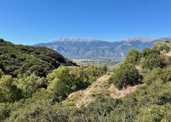 Eurotas Valley