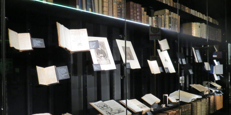 Leitseite Institut für neutestamentliche Textforschung