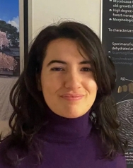 JICE heißt ECR Fellow Maria Luigia Vommaro willkommen