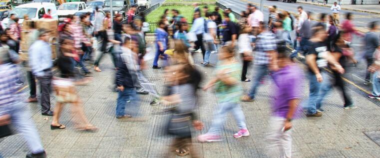 Disziplinübergreifende Erforschung von individuellen Unterschieden