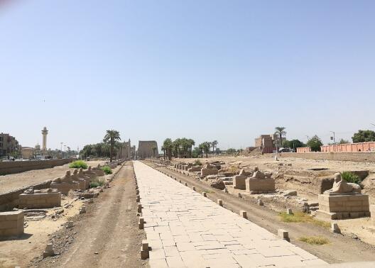 Prozessionsweg Tempel Luxor