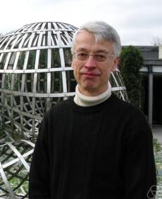 Prof. Dr. Stephan Luckhaus