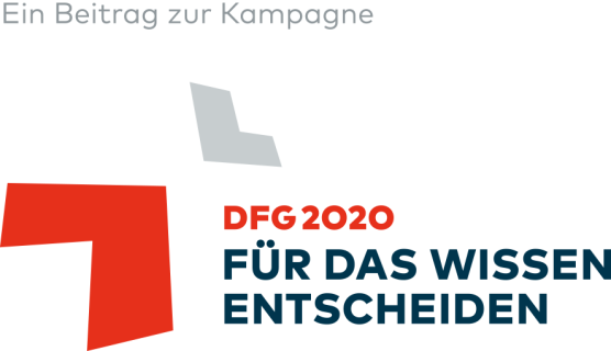 Dfg2020 Logo Rgb Zusatz Kampagne