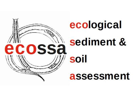 ecossa Logo
