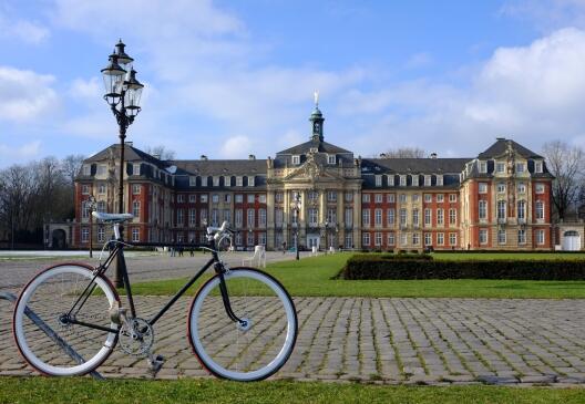 The castle of Münster