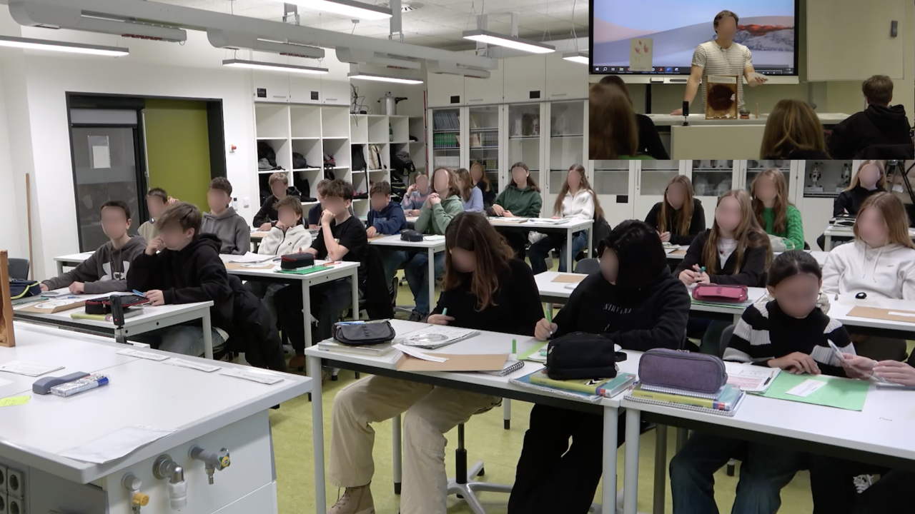 Biologie - 8. Klasse - Wirbellose am Beispiel der Insekten. Einzelstunde: Der Schwänzeltanz - eine Kommunikationsform der Bienen