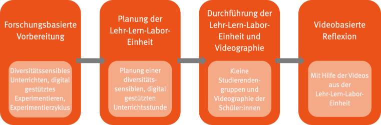  Seminarphasen und grundlegende Inhalte (eigene Abbildung)