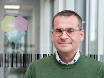 Prof. Dr. Carsten GRASHOFF
