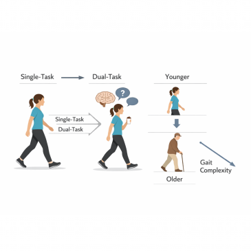 Update Sofia: Dual-Tasking and Gait Variability in Older Adults (cropped1)