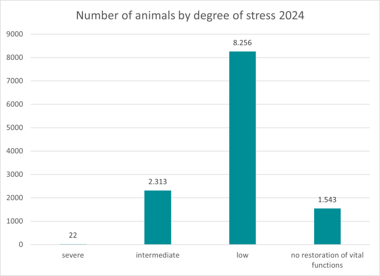 The chart shows the severity of the animal experiments carried out in 2024 depending on the laboratory animal. 