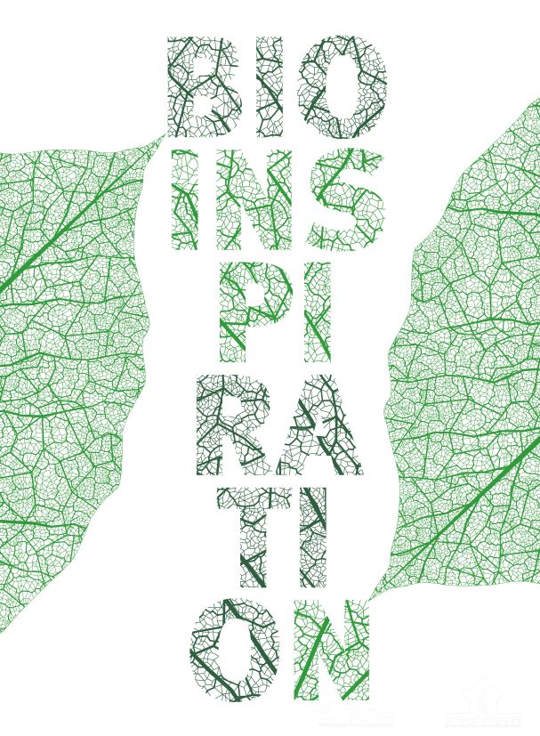 bioinspiration logo