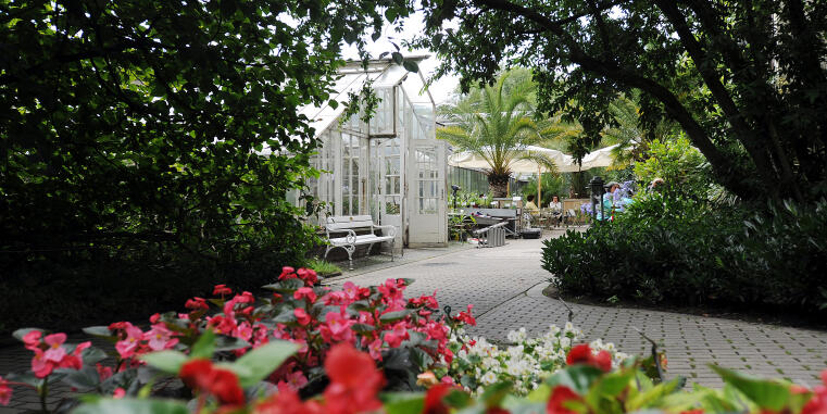 Botanischer Garten