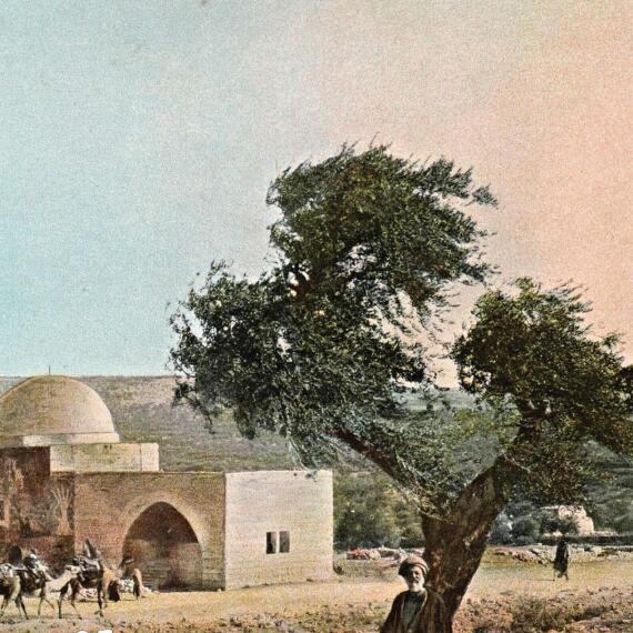 Plakat-vorlesungsreihe Ws 2025 2026 V101 02 _1_