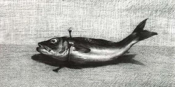  Fish, 2006, charcoal on paper.