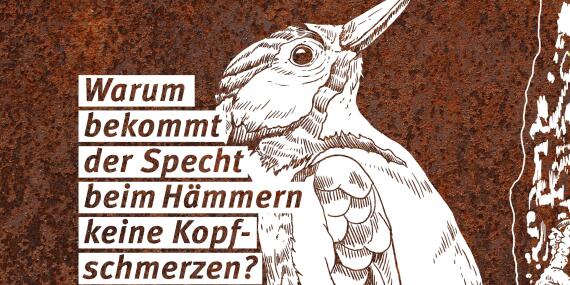 Grafik eines Spechts