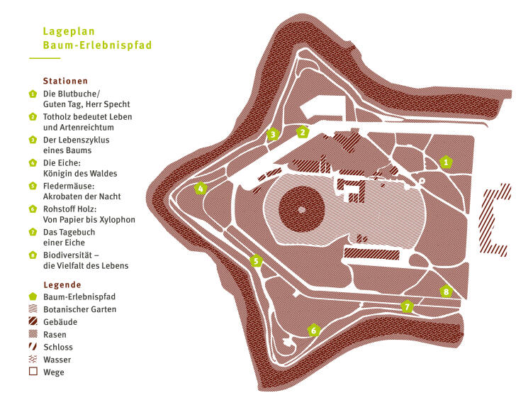 Lageplan mit den 8 Stationen des Baum-Erlebnispfads