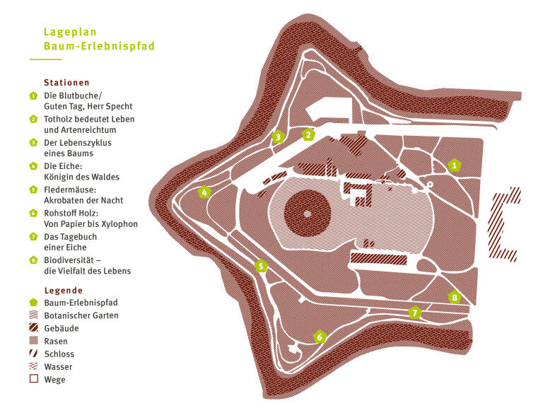 Lageplan mit den acht Stationen des Baum-Erlebnispfads