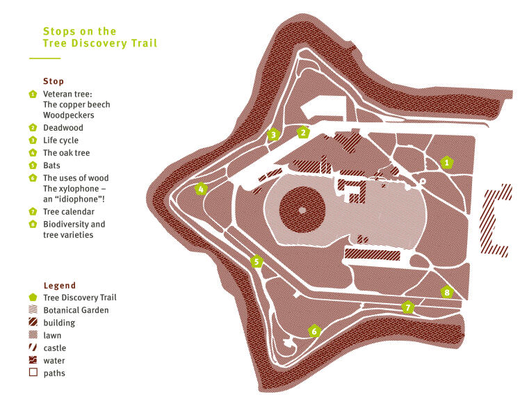 Map of the Tree Discovery Trail with its eight stops