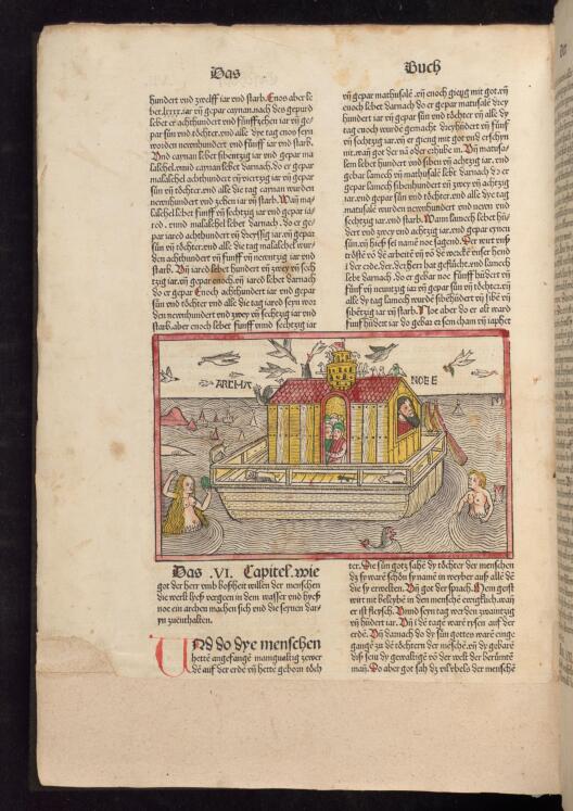 depiction of the Ark the the ninth German Bible before Luther