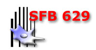 SFB 629