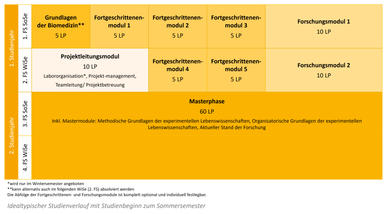 Studienverlaufsplan mit Studienbeginn zum SoSe