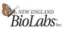 Internet Neb Logo