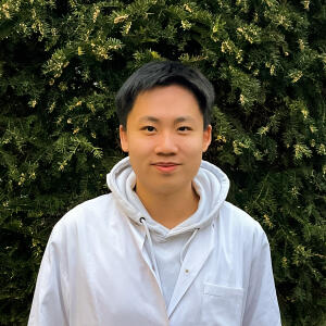 TaoWang