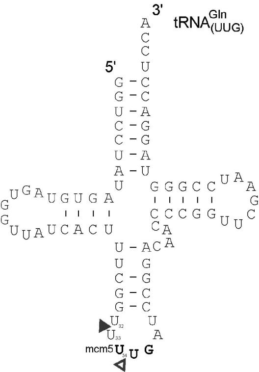 Trna 312x448