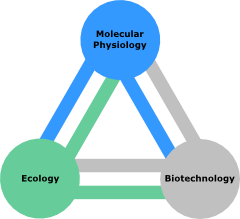 Icon of research group Microbial Biotechnology