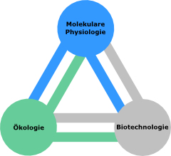 Logo der Arbeitsgruppe Mikrobielle Biotechnologie