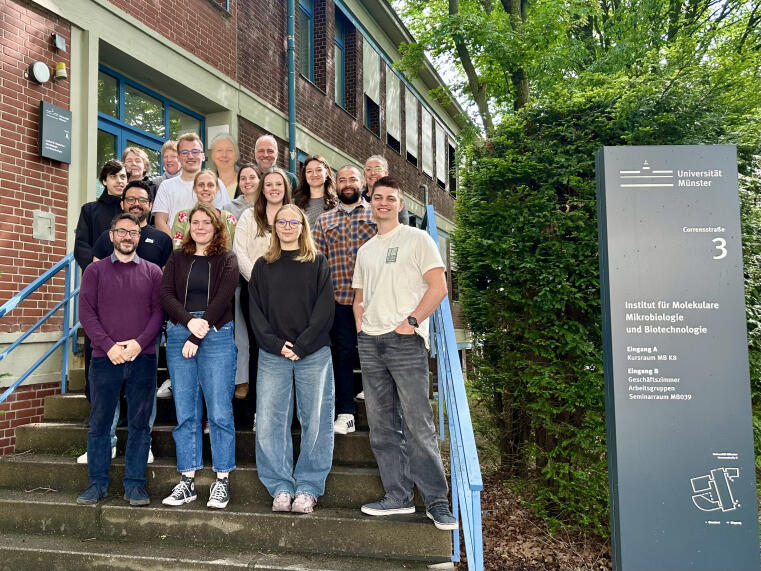 Foto der Arbeitsgruppe Mikrobielle Biotechnologie und Ökologie