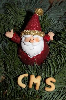CMS-Weihnachtsgruß