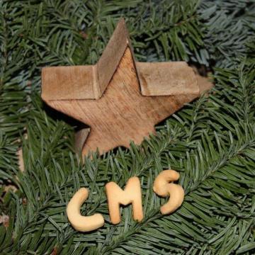 Cms-weihnachtsgru _ 3