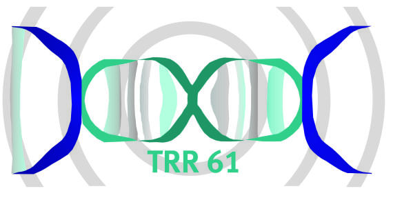 Trr 61