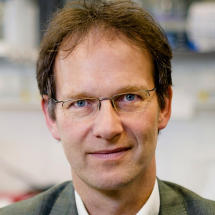 Univ.-Prof. Dr. rer. nat. Wolfgang A. Linke