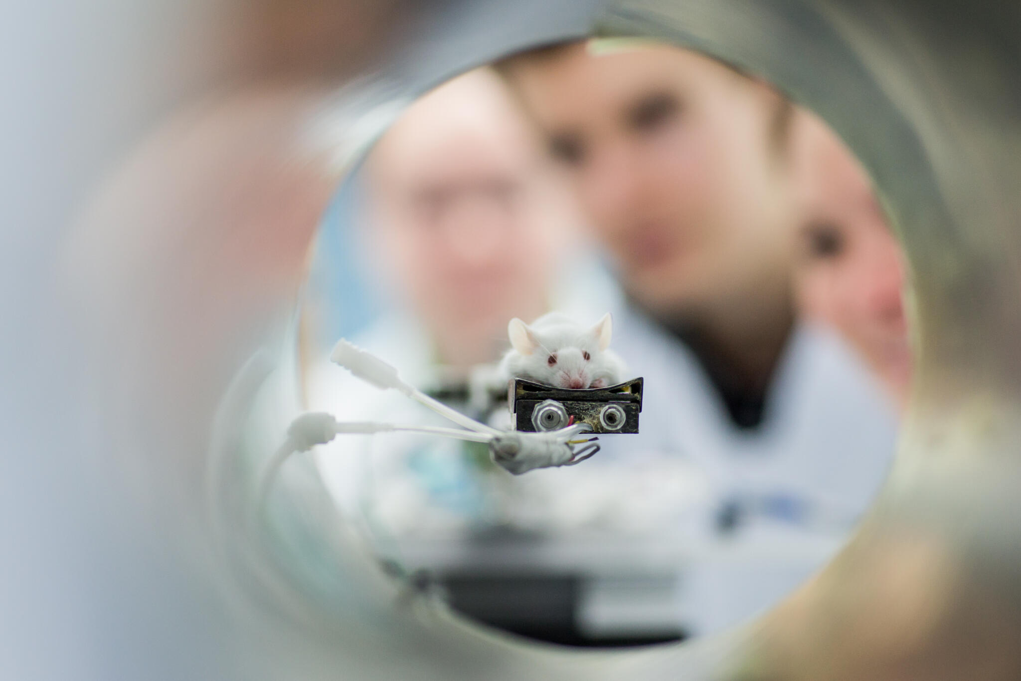 News | At the University of Münster, junior scientists from across the ...