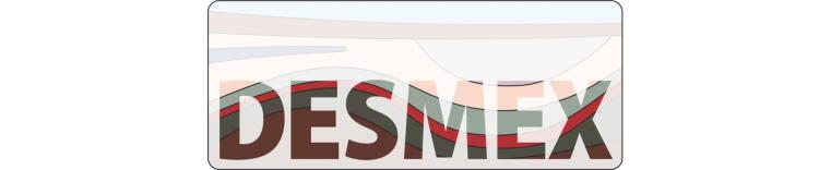 Desmex Logo Res