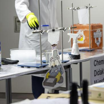 Chempi in vielen Farben