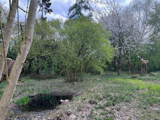 Erste Aktivitäten am neuen Natur.Campus