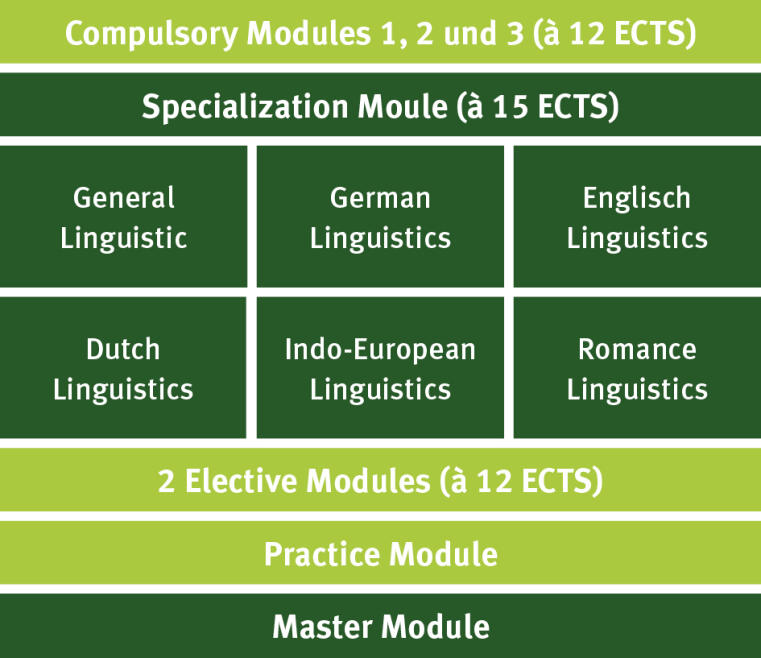The figure shows the module plan of the study program. It consists of three compulsory modules, one specialization module, two compulsory elective modules, one practical module and the final master's module. In the specialization module, one module can be selected from six.