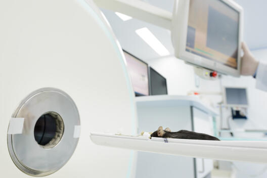 Our Mouse Imaging Academy introduces you into a broad spectrum of dedicated imaging technologies …