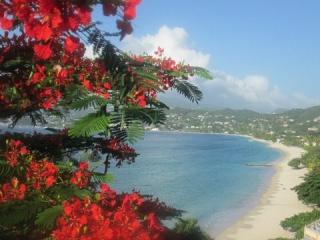Grand Anse, Grenada