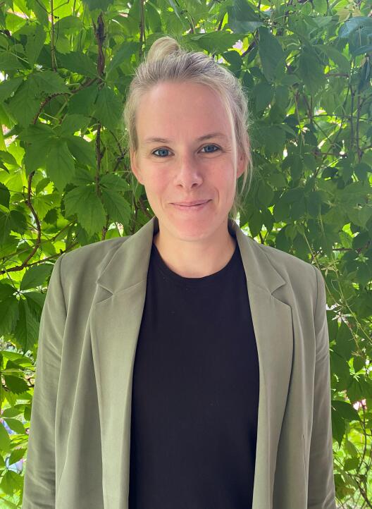 As we proceed on our life course, the events we experience are largely influenced by picture