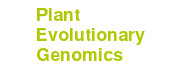 Plant Evolutionary Genomics