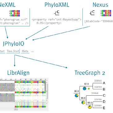 Newmarch2017m _ller1