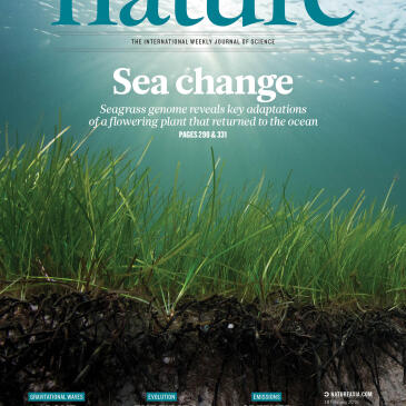 Olsen-peer-genome-zostera-marina-n-2016-cover