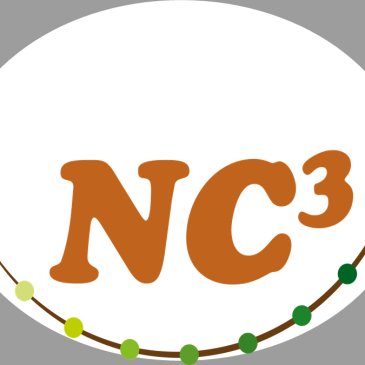 Nc3 Logo Grau