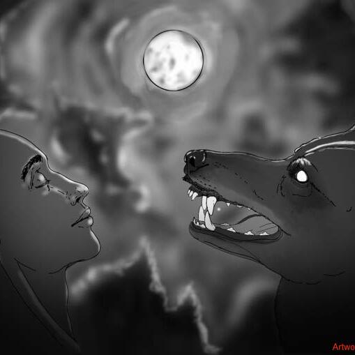 Theeyebrow-crymeawerewolf- C Angelicacoculla